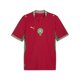 thumbnail image 1 of Camiseta PUMA Marruecos FA de visitante réplica XL, 1 of 7