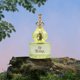 thumbnail image 3 of Agua de Tocador Disney 30 ml Verde Tiana Spray, 3 of 5