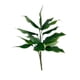 thumbnail image 1 of Ramo Hosta Con Uv 56cm Artificial, 1 of 3