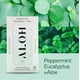 thumbnail image 3 of Toallitas desinfectantes para manos ALOH Peppermint Eucalyptus + Aloe 60 unidades, 3 of 8