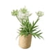 thumbnail image 1 of 1/12 Simulación De Adorno De Bonsái De Flores En Miniatura Para Decoración De Patio Blanco, 1 of 5