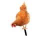 thumbnail image 1 of Estaca De Estatua De Animal De Pollo Realista Para Patio, Piscina, Porche Delantero, 27 Cm X 16,3 Cm, 1 of 5