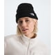 thumbnail image 3 of Gorro de invierno The North Face Salty Dog con forro negro, 3 of 3