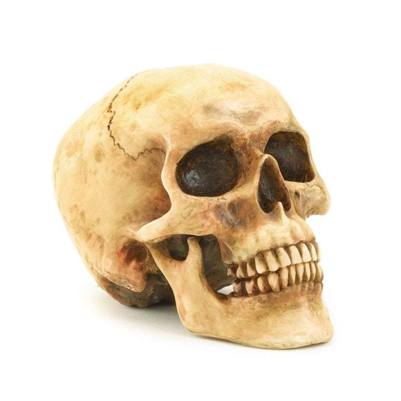Figurín Regalos & Decors 17x11x12 cm Calavera Realista