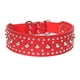 thumbnail image 1 of Cuello De Cachorro Fashional Para Caminar Grandes Perros De Raza Pastor Alemán S Pastor S Red, 1 of 5