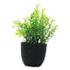 thumbnail image 4 of Mini Planta Artificial En Maceta Para Decorar El Estante Del Baño., 4 of 5