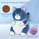 thumbnail image 5 of Peluche Ayehe Gato Pez Calefactable y Refrigerable con Lavanda, 5 of 7