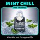 thumbnail image 3 of Toallitas de viaje DUDE Wipes Mint Chill, 48 unidades, desechables por el inodoro, 3 of 8