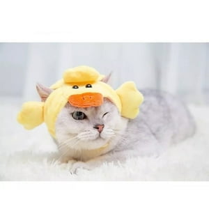 Defensor - Gorro Disfraz De Forma Patito, Para Perros, Gatos, Mascotas