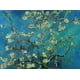 thumbnail image 2 of Rompecabezas Moruska Almond Blossom por Vincent Van Gogh 1000 Piezas, 2 of 2