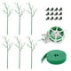 thumbnail image 2 of Kit De Estacas Para Plantas Enrejadas, Varillas Para Plantas, 6 Uds., Para Arreglos Florales, Multiusos, 27,5 Pulgadas, 70cm, 2 of 3