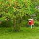 thumbnail image 4 of Xiao Hua Red Verde a Prueba de Aves de 33 'x 6.6' con Función de Protección Vegetal, Red a Prueba de Aves de Polietileno para Jardín y Huerto (Juego de 2 Piezas), 4 of 4