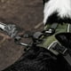 thumbnail image 4 of Correa De Paseo Resistente Para Perros Outdoor Petlounge gris, 4 of 4