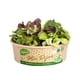 thumbnail image 1 of Ensalada Mix Dijon, 150 g, 1 of 2