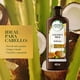 thumbnail image 3 of Acondicionador Herbal Essences bío:renew Hydrate Coconut Milk, 400 ml, 3 of 5