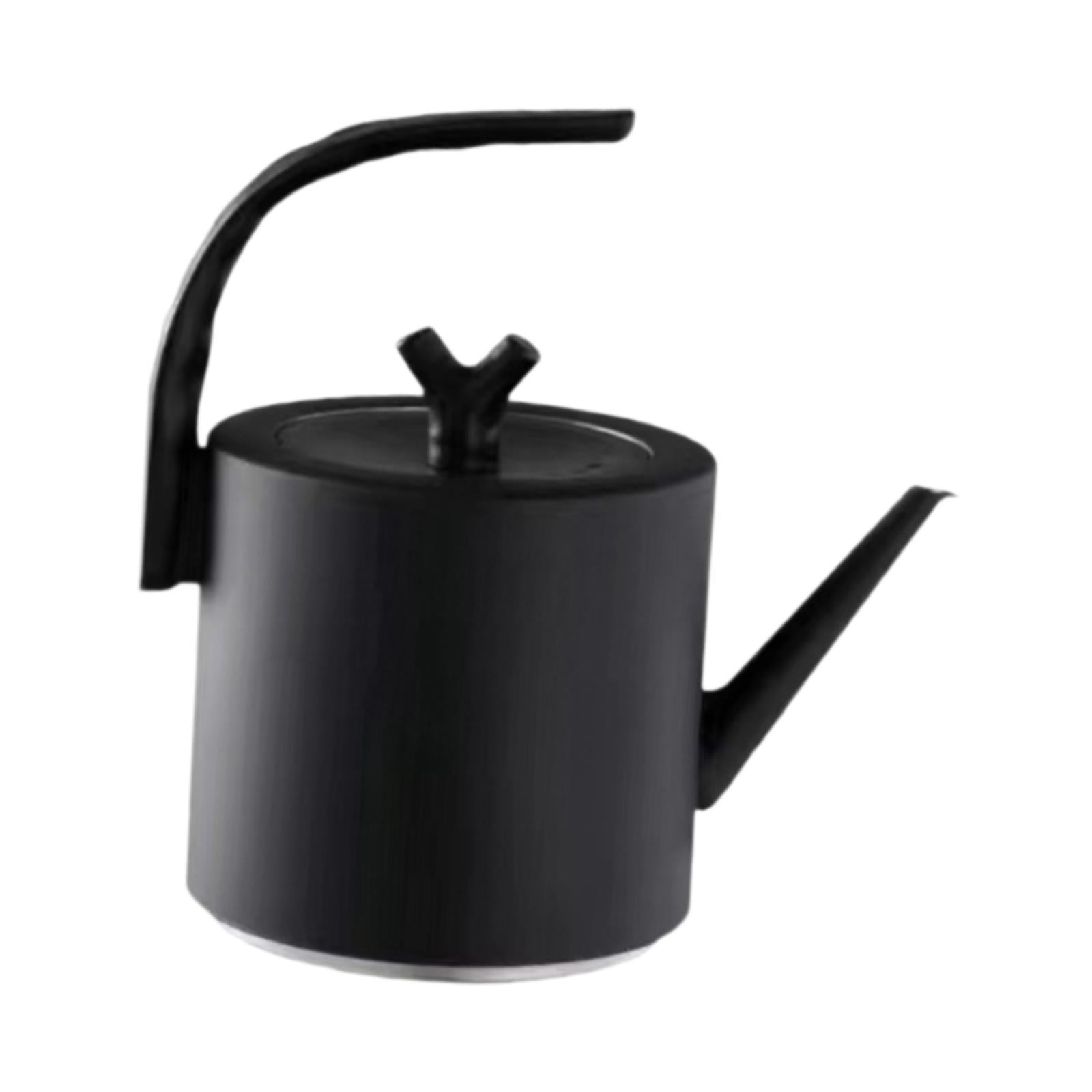 Bothyi - Hervidor De Agua De Calentamiento Rápido Hervidor De Agua Caliente Para El Hogar Hervir Agua Caliente Regalo Para Amantes Del Té Negro