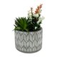 thumbnail image 4 of Planta Artificial 20cm, 1 unidad, 4 of 4