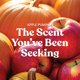 thumbnail image 2 of Vela Yankee Candle Apple Pumpkin 623 g 150 h de duración, 2 of 8