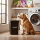 thumbnail image 4 of Contenedor Para Alimento De Mascotas 21 Kg Con Tapa - Negro, 4 of 4