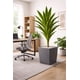thumbnail image 3 of Drácaena Artificial Grande 160 cm Planta Decorativa Interior, 3 of 4