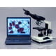 thumbnail image 5 of Microscopio AmScope B490B-LED WF10x WF20x, 5 of 9