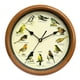 thumbnail image 5 of Reloj de pared con pájaro cantor, reloj colgante, decoración, reloj decorativo silencioso, reloj de pájaro con sonido para decoración de cocina y dorm, 5 of 5