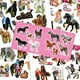 thumbnail image 3 of Miss Melody mini Sticker Fun - Creando el mini mundo de los caballos, 3 of 3