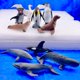 thumbnail image 2 of Set de figuritas de juguete Safari Ltd. Antarctica Toob Penguins de 3 años o más, 2 of 6
