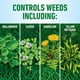 thumbnail image 5 of Herbicida Roundup para céspedes Concentrado 946 ml, 5 of 9