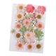 thumbnail image 1 of 25 piezas de flores secas prensadas naturales mixtas múltiples múltiples hojas de manualidades de bricolaje C, 1 of 5