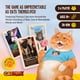 thumbnail image 2 of Juego de mesa Catastrophe A Game of 9 Lives con la expansión Paws Out, 2 of 3
