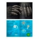 thumbnail image 3 of Tamaño Natural de Editorial Contrapunto, 3 of 11