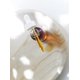 thumbnail image 3 of Sérum facial Little Seed Farm Antioxidante 29 ml para piel seca, 3 of 9