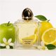 thumbnail image 5 of Veneziani Elisir Limone Eau de Parfum para Mujer 75 ml, 5 of 9