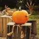 thumbnail image 5 of Conjunto de brazos y piernas con forma de calabaza para Halloween JOYIN para interiores y exteriores, 5 of 7