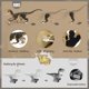 thumbnail image 3 of Juguetes de dinosaurios jurásicos con control remoto FRUSE Velociraptor, 3 of 7