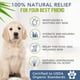 thumbnail image 3 of Champú para perros 4Legger, certificado orgánico, totalmente natural, 473 ml, 3 of 9