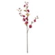 thumbnail image 1 of Cerezo en Flor Fucsia 89 cm, 1 of 1