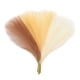 thumbnail image 3 of 6x Relleno De Jarrón De Arreglo De Flores Secas Artificiales Para Decoración Del Hogar Beige Marrón Caqui, 3 of 5