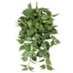 thumbnail image 2 of Enredadera colgante con 166 hojas verdes de 75 cm, 2 of 2