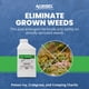 thumbnail image 3 of Herbicida Glyphosel Plus 946 Ml 3 Paquetes De Guantes, 3 of 7