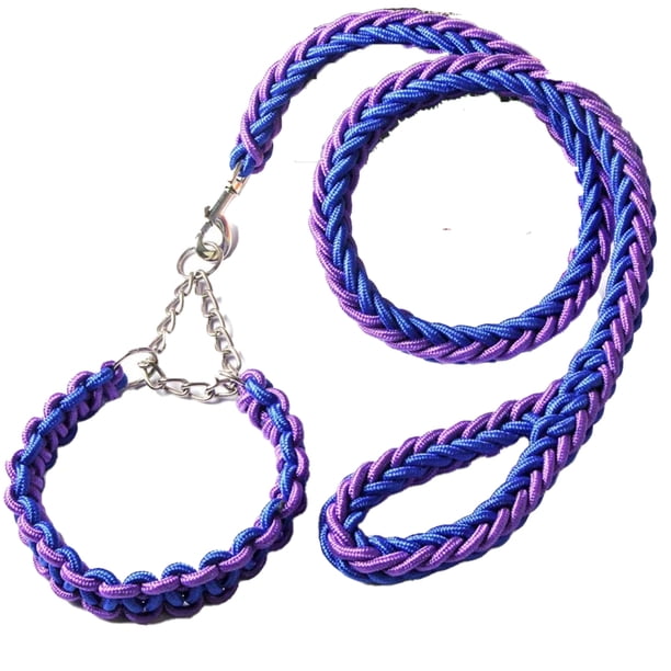 Conjunto de collar y correa para perro, correa de cuerda y collar de adiestramiento para perros pequeños, medianos y grandes.