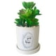 thumbnail image 1 of Planta Decorativa Good To Be Home Maceta Blanca, 1 of 4