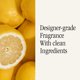 thumbnail image 4 of Difusor de aire Smart Home con fragancia Pura Sugared Lemon, paquete de 2, 4 of 7