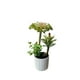 thumbnail image 4 of Mini Suculentas Decorativas Artificiales Con Macetero 3 Uni., 4 of 5