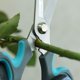 thumbnail image 5 of Tijeras para flores CYRUS con removedor de espinas, 5 of 9