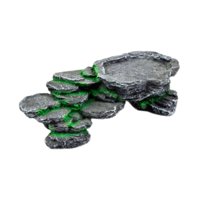 Ioensy - Plataforma De Descanso Para Tortugas Rampa Para Tortugas Galápagos Animales Semiacuáticos Anfibios