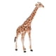 thumbnail image 4 of Simulación Animal Modelo Juguetes Educativos Para Ni?os Giraffe PL127-413, 4 of 5