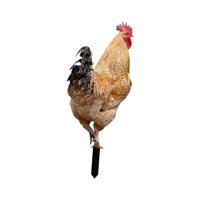 Magideal - Estacas De Estatua De Animales De Pollo, Estatua De Jardín De Pollo, Estacas De Jardín Acrílicas Para Decoración De Pollo Al Aire Libre, Decoración De Estilo A