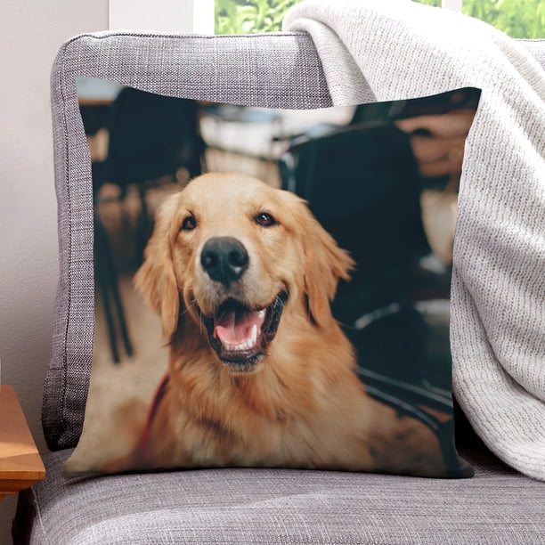 Golden Retriever Fundas de almohada de terciopelo con tema, regalos de funda de almohada, decoración para el hogar, cojín de lanzar, regalo de cumpleaños para fans y parejas.50*50cm.